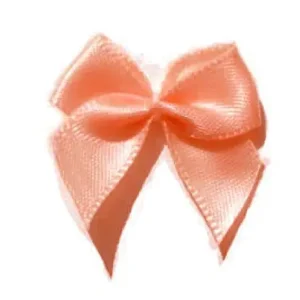 Jetzt Bestellen 5 ♥ SATIN Schleifchen PEACH ♥