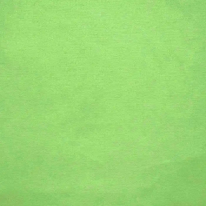 Kostenloser Versand Baumwolle, Popeline, 4828-47, grün