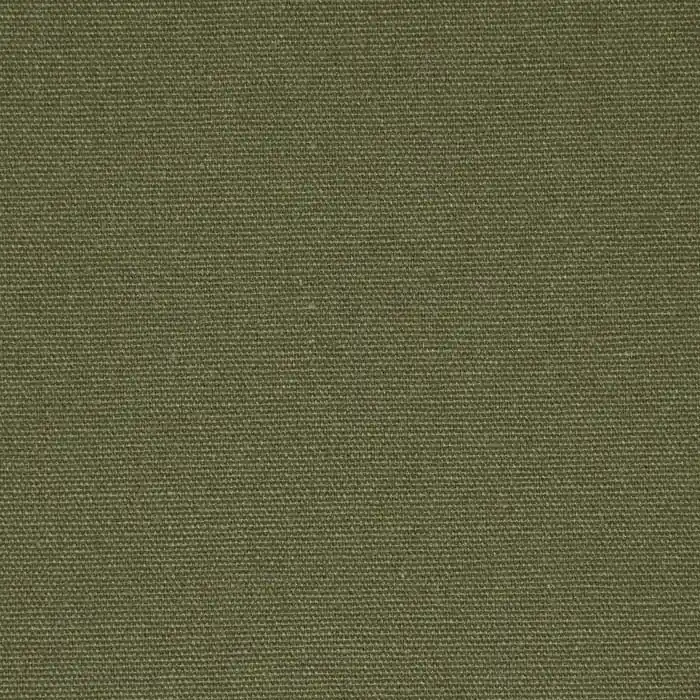 Heute Kaufen Gewebe, Baumwolle, Canvas, 4826-129, olivengrün