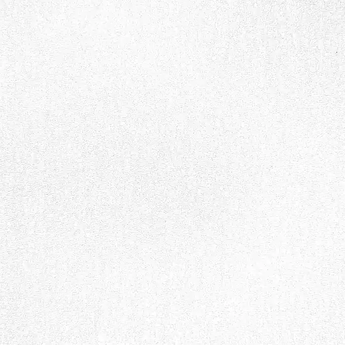 Exklusiv Organza, glänzend, 29666-03, offweiß