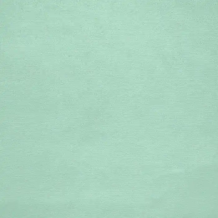 Baumwolle, Popeline, 4828-111, mintgrün Schneller Versand