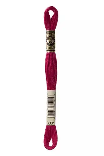 Jetzt Bestellen DMC Stickgarn Mouliné Spécial 3831