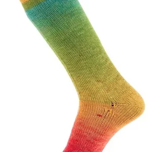 Geld-Zurück-Garantie Katia Symmetric Degradé 85