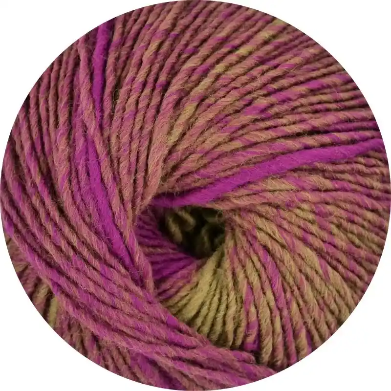 Top-Preis ONline Linie 359 – Fano 157