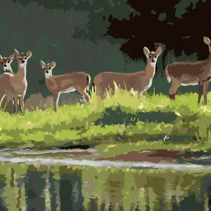 Diamond painting - RICKEN AM SEE (D. RUSTY RUST) Kostenfreie Lieferung