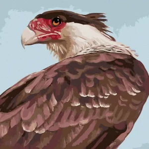 Diamond painting - GEIERBLICK (D. RUSTY RUST) Kostenloser Rückversand