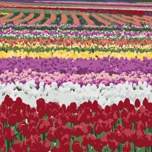 Jetzt Bestellen Diamond painting - TULPENFELDER (DENNIS FRATES)