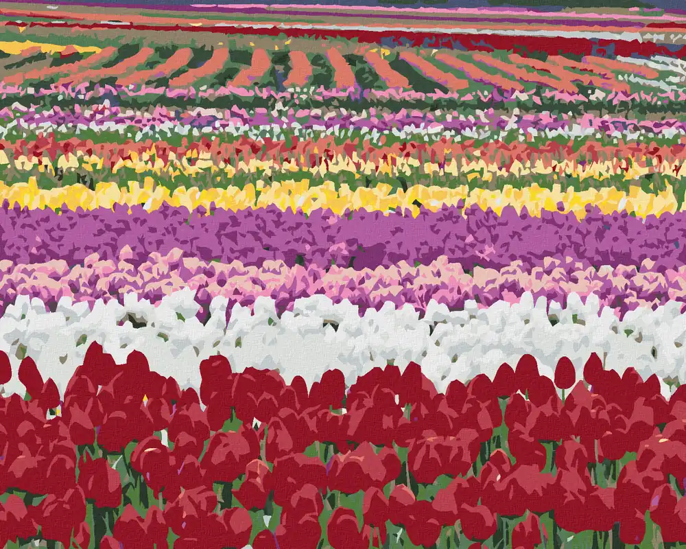 Jetzt Bestellen Diamond painting – TULPENFELDER (DENNIS FRATES)