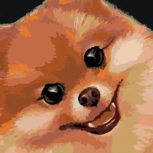 Kostenloser Versand Diamond painting - ZWERGSPITZ (MYROSLAVA VOLOSCHUK)