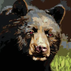 Diamond painting - BÄR PORTRÄT (D. RUSTY RUST) Preisreduziert