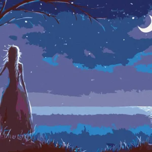 Diamond painting - PRINZESSIN, DIE DEN MOND BETRACHTET Wochenendangebot