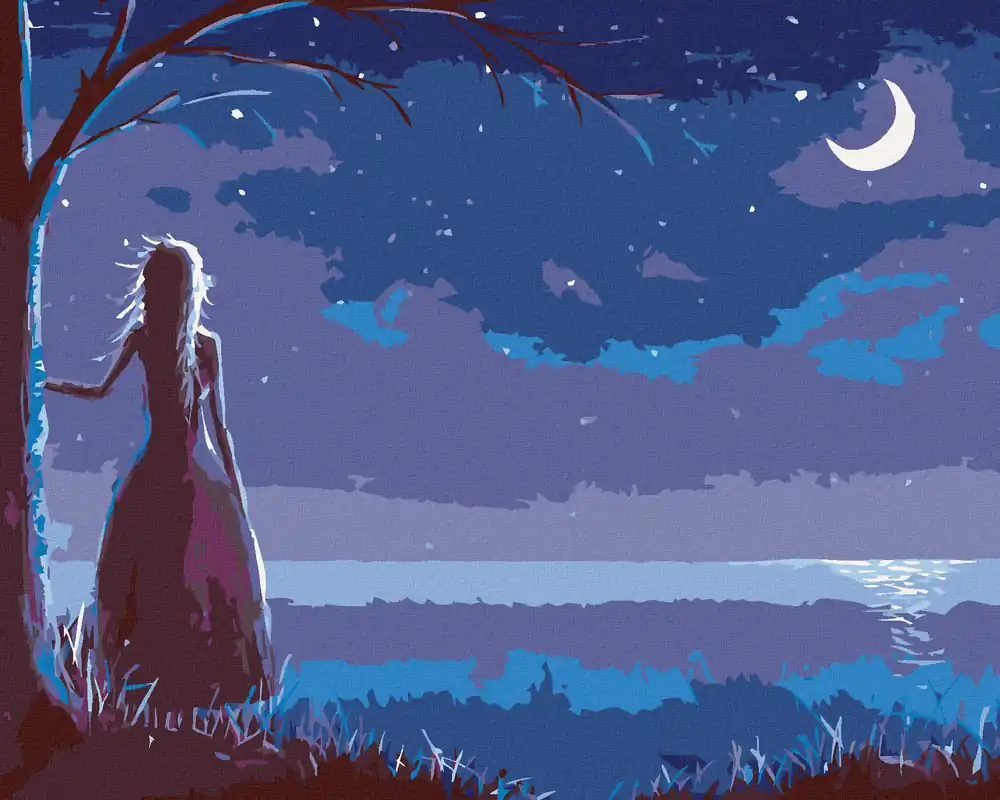 Diamond painting – PRINZESSIN, DIE DEN MOND BETRACHTET Wochenendangebot