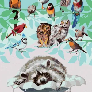 Kostenfreie Lieferung Diamond painting - VÖGEL UND WASCHBÄR (D. RUSTY RUST)