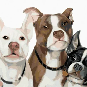 Diamond painting - HUNDEFAMILIE (MYROSLAVA VOLOSCHUK) Top-Angebot