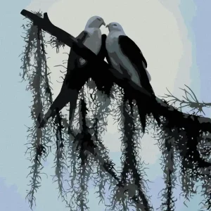 Diamond painting - VÖGEL AUF EINEM ZWEIG (D. RUSTY RUST) Echt