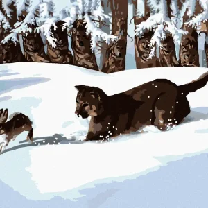 Diamond painting - PUMA AUF HASENJAGD IM SCHNEE (D. RUSTY RUST) Top-Preis