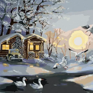 Diamond painting - MÖWEN AM SCHNEEHAUS (D. RUSTY RUST) Billig