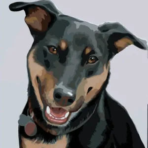 Online Kaufen Diamond painting - ROTTWEILER 2 (MYROSLAVA VOLOSCHUK)