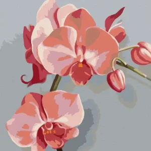 Letzte Chance Diamond painting - ROSA ORCHIDEE (MYROSLAVA VOLOSCHUK)