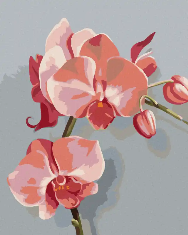 Letzte Chance Diamond painting – ROSA ORCHIDEE (MYROSLAVA VOLOSCHUK)