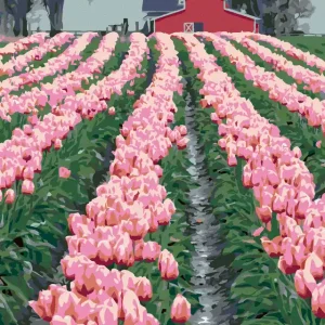 Diamond painting - ROSA TULPEN AN DER SCHEUNE (DENNIS FRATES) Preis Gesenkt