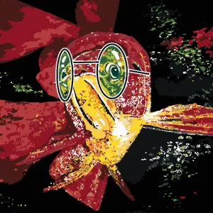 Diamond painting - FISCH MIT GRÜNER BRILLE Mega-Angebot