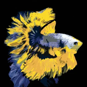 Limited Edition Diamond painting - KAMPFFISCH GELB-BLAU