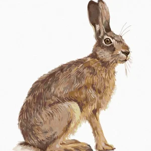 Nur Heute Diamond painting - SITZENDER HASE