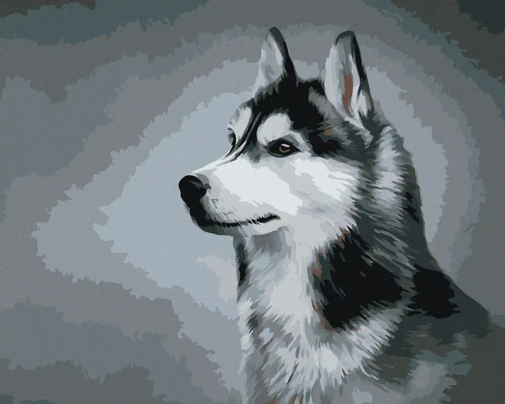 Nur Heute Diamond painting – SIBERIAN HUSKY