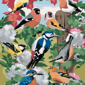 Diamond painting - VÖGEL UND WEISSE BLUMEN (HOWARD ROBINSON) Echt