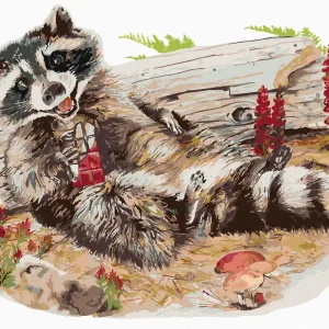 Diamond painting - WASCHBÄR MIT SCHOKOLADE (HOLLY SIMENTAL) Angebot