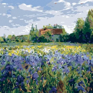 Kracherpreis Diamond painting - HAUS AUF DEM LAND