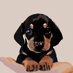 Solange Der Vorrat Reicht Diamond painting - WELPE VOM KURZHAARDACKEL