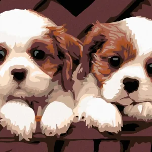 Diamond painting - WEIßBRAUNE WELPEN Exklusiv