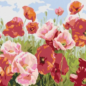 Diamond painting - SCHLAFMOHN IN VIELEN FARBTÖNEN Günstig