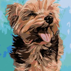 Günstig Diamond painting - FRÖHLICHER YORKSHIRE