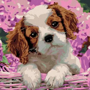 Diamond painting - HUNDEWELPEN UND HORTENSIEN Expressversand