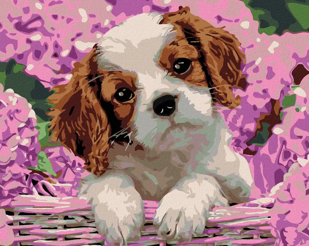 Diamond painting – HUNDEWELPEN UND HORTENSIEN Expressversand