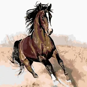 Sofort Bestellen Diamond painting - BRAUNES PFERD IM SAND