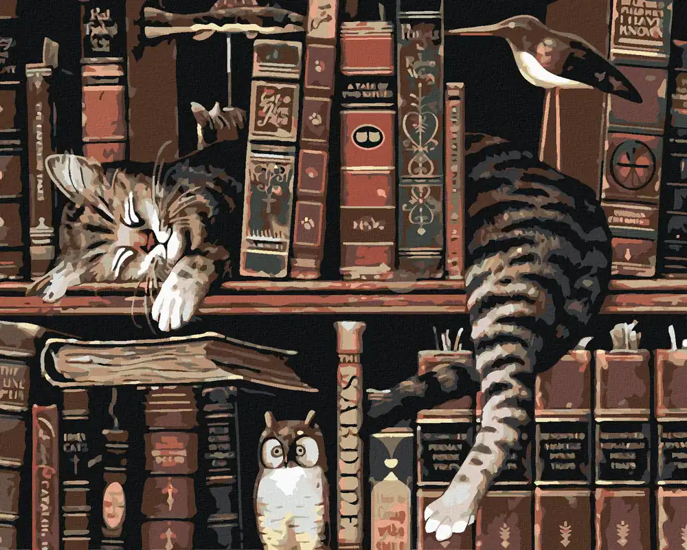 Kracherpreis Diamond painting – KATER IN DER BIBLIOTHEK