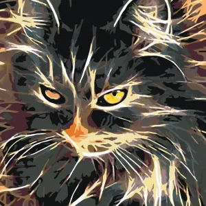 Sonderaktion Diamond painting - WUNDERSCHÖNE ZWEIFARBIGE KATZE