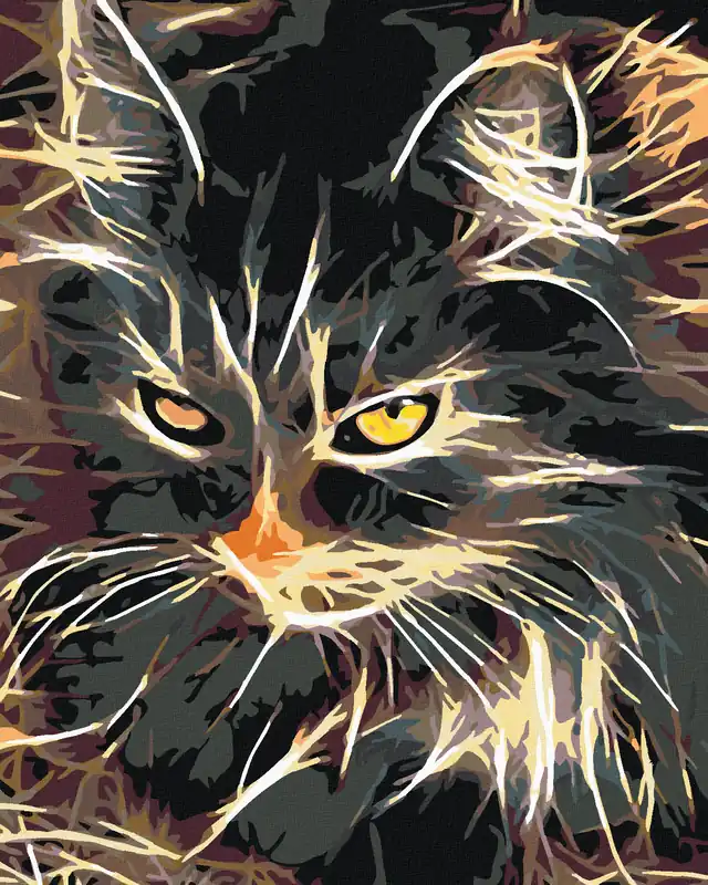 Sonderaktion Diamond painting – WUNDERSCHÖNE ZWEIFARBIGE KATZE