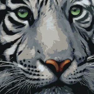 Diamond painting - KOPF EINES WEIßEN TIGERS Heißes Angebot