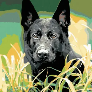 Diamond painting - DEUTSCHER SCHÄFERHUND IM GRAS Exklusiv