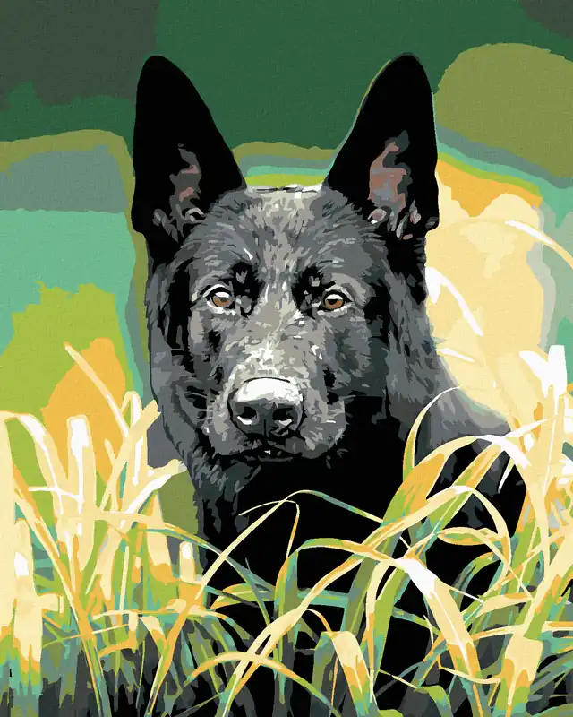 Diamond painting – DEUTSCHER SCHÄFERHUND IM GRAS Exklusiv