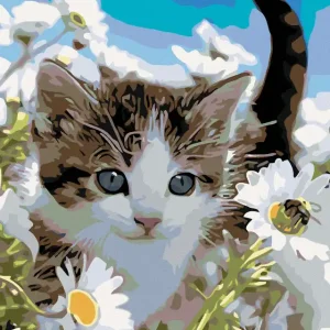 Diamond painting - KÄTZCHEN IN MARGERITEN Echt