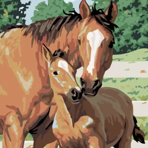 Diamond painting - STUTE MIT FOHLEN Beliebt