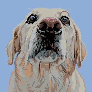 Diamond painting - LABRADOR Beliebt