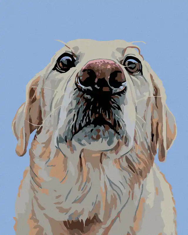 Diamond painting – LABRADOR Beliebt