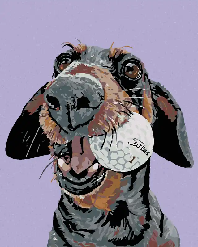 Kostenloser Rückversand Diamond painting – HUND MIT GOLFBALL